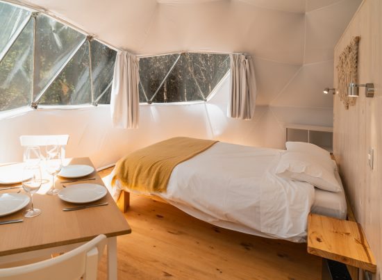 Interior de domo en el bosque