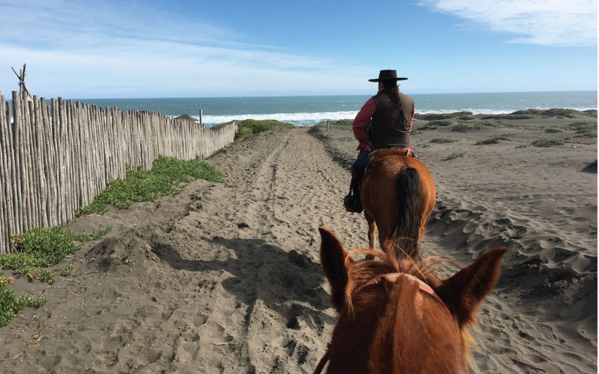 Cabalgata bajando una duna hacia el mar